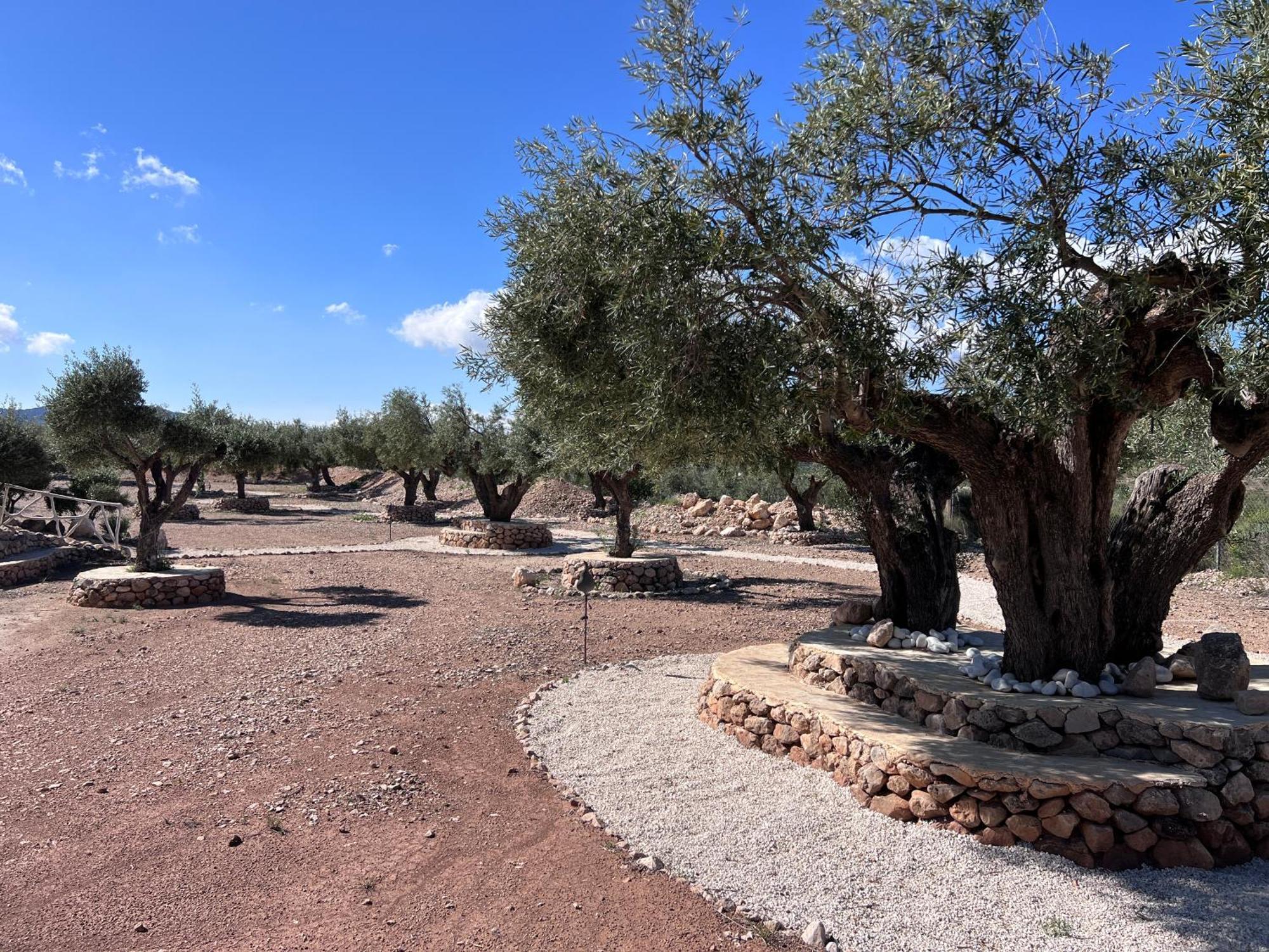 فيلا Casa Algezar Hondón de las Nieves المظهر الخارجي الصورة